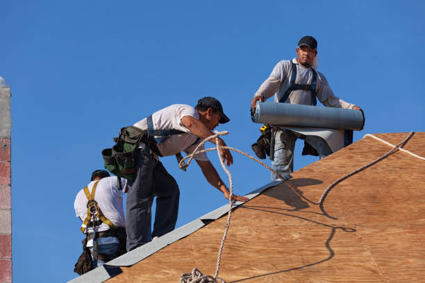 Best Commercial Roofing Services  in Robstown, TX