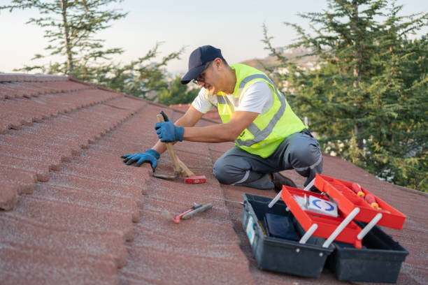 Best Slate Roofing Contractor  in Robstown, TX